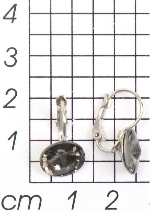 Firetti Paar oorhangers Tijdloos chic rond multicolour - Foto 1