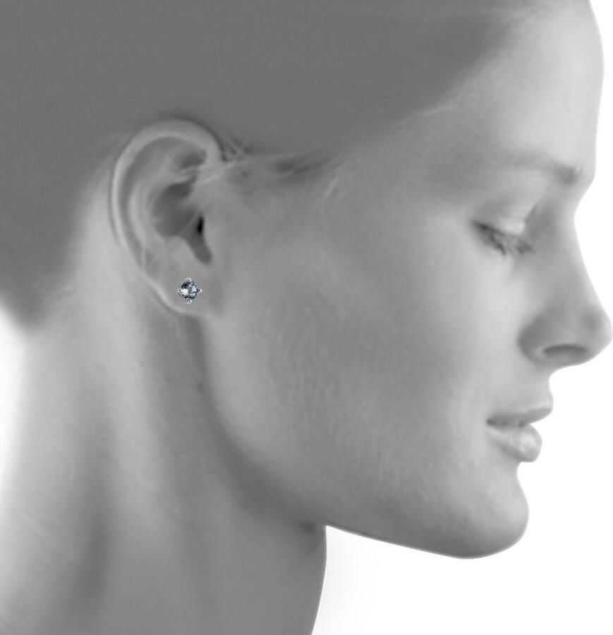 Firetti Paar oorstekers Sieraad Geschenk Oorbellen Solitair zilver 925 - Foto 2