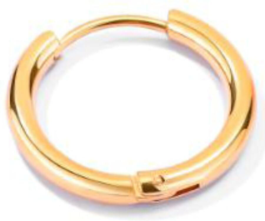 Firetti Single-oorring Sieraad cadeau oorbellen enkel Classic - Foto 2