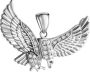 Firetti Kettinghanger Sieraad cadeau zilverkleur 925 halssieraad hanger adelaar - Thumbnail 1