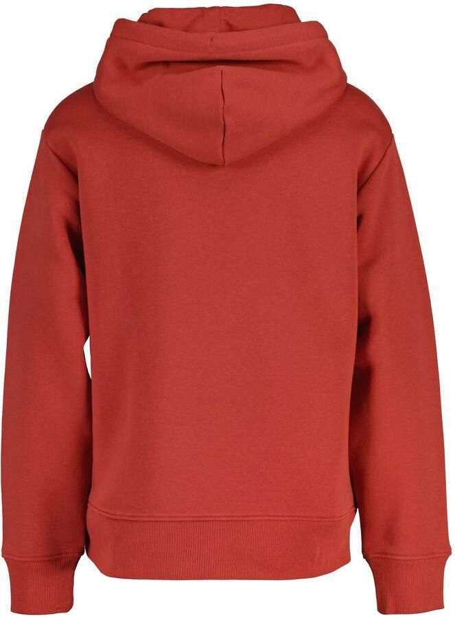Gant Hoodie ARCHIVE SHIELD HOODIE Met een capuchon voorzien van rijgkoord