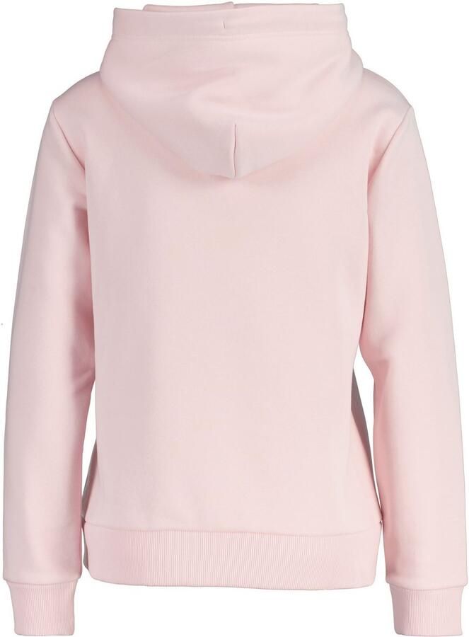 Gant Hoodie REG TONAL SHIELD HOODIE Ton sur ton borduurwerk ribboorden