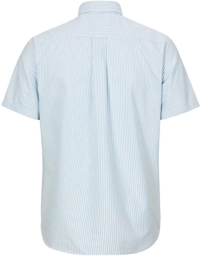 Gant Overhemd met korte mouwen REG CLASSIC OXFORD STRIPE SS SHIRT - Foto 2
