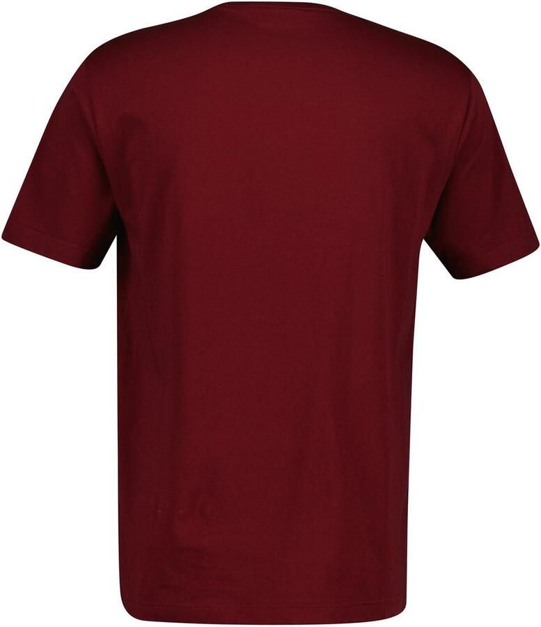 Gant T-shirt PRINTED GRAPHIC Regular fit ronde hals