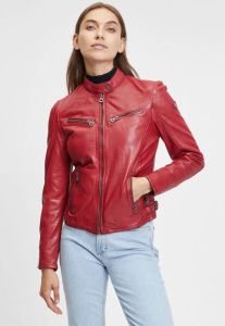 Gipsy Bikerjack GWDjura LASOV