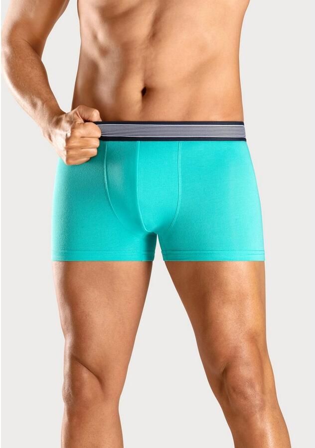 H.I.S Boxershort voor heren met gestreepte weefband (set 4 stuks) - Foto 3