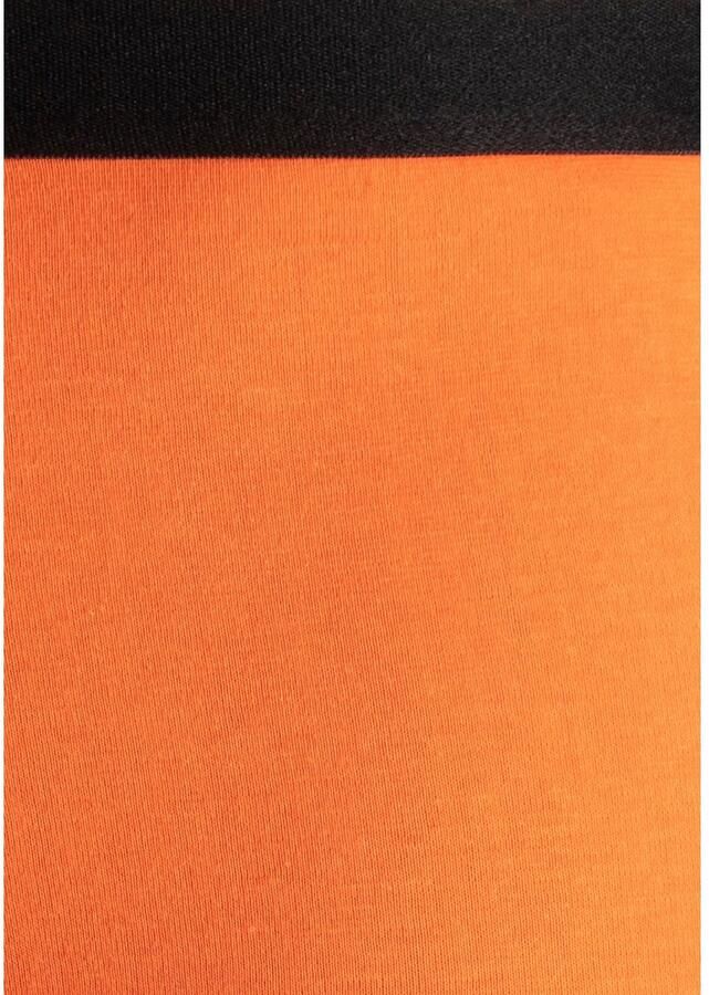 H.I.S Boxershort voor heren met smalle piping aan beide kanten opzij (set 3 stuks) - Foto 3