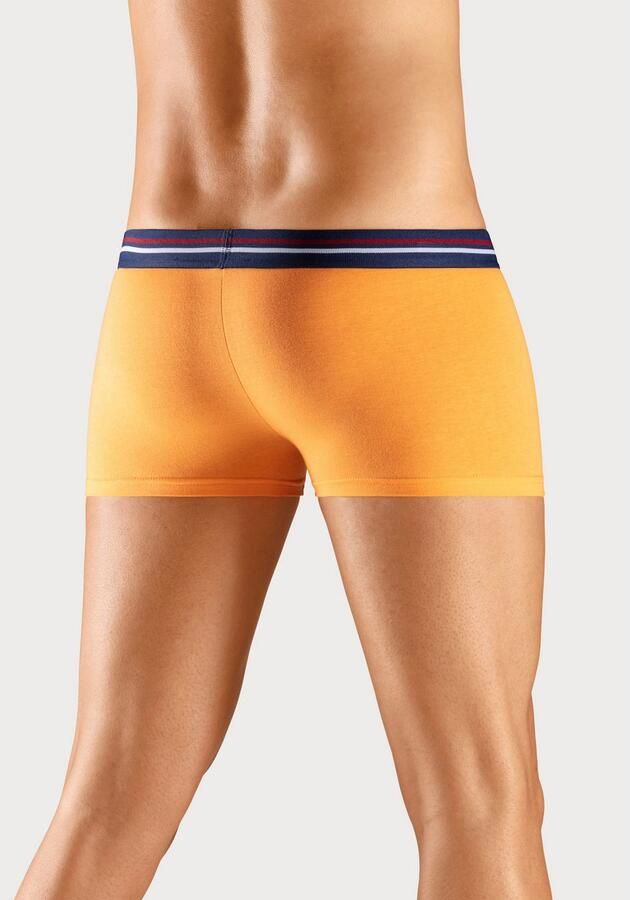 H.I.S Hipster strak zittende boxershorts met strepen van katoenmix (set 5 stuks) - Foto 4