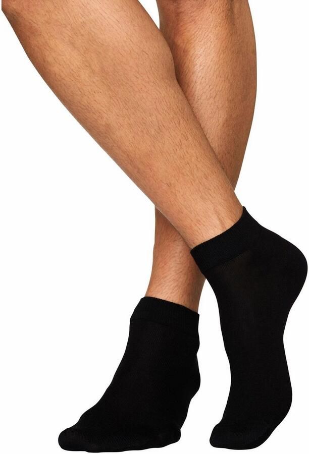 H.I.S Korte sokken in praktische cadeauverpakking (box 20 paar) - Foto 3