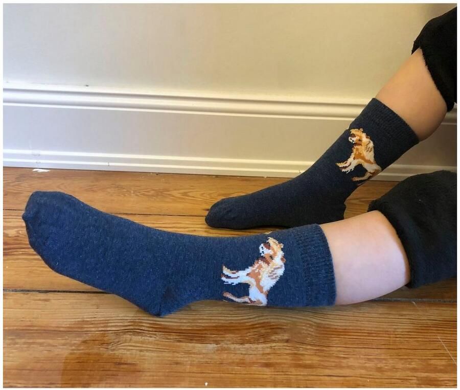 H.I.S Sokken Met verschillende paardenmotieven (set 5 paar) - Foto 2