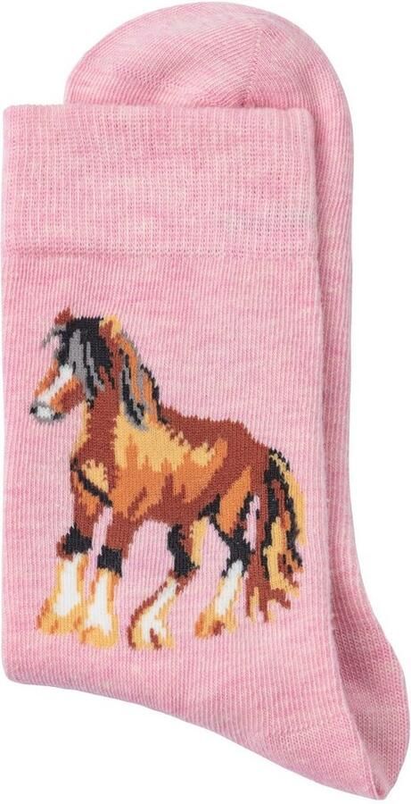 H.I.S Sokken Met verschillende paardenmotieven (set 5 paar) - Foto 12