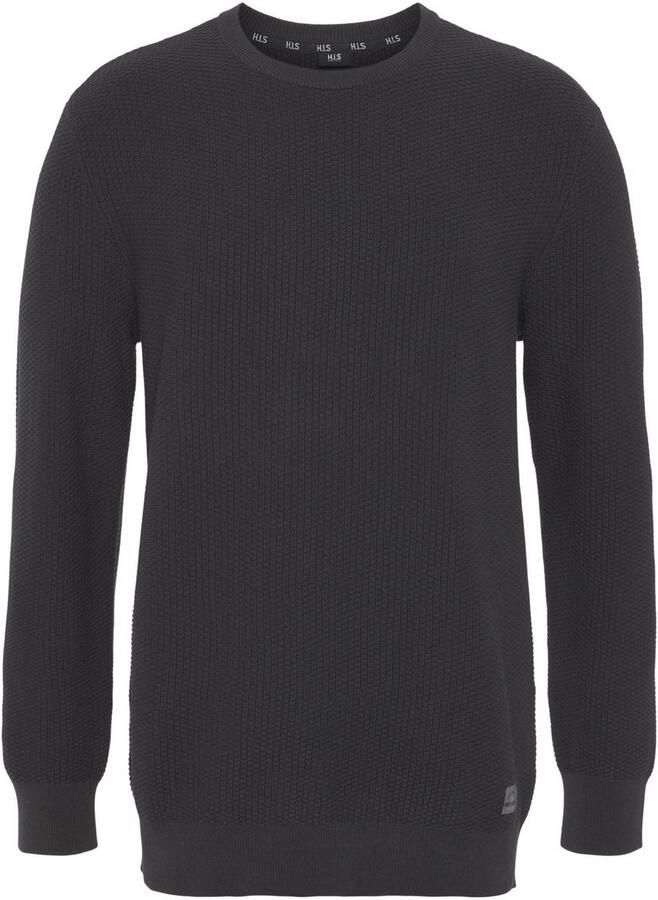 H.I.S Trui met ronde hals in bijzondere tricot-look