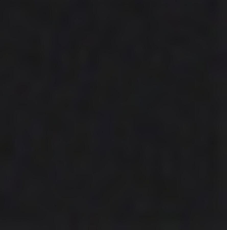 HUGO Nazardo Hoodie Heren