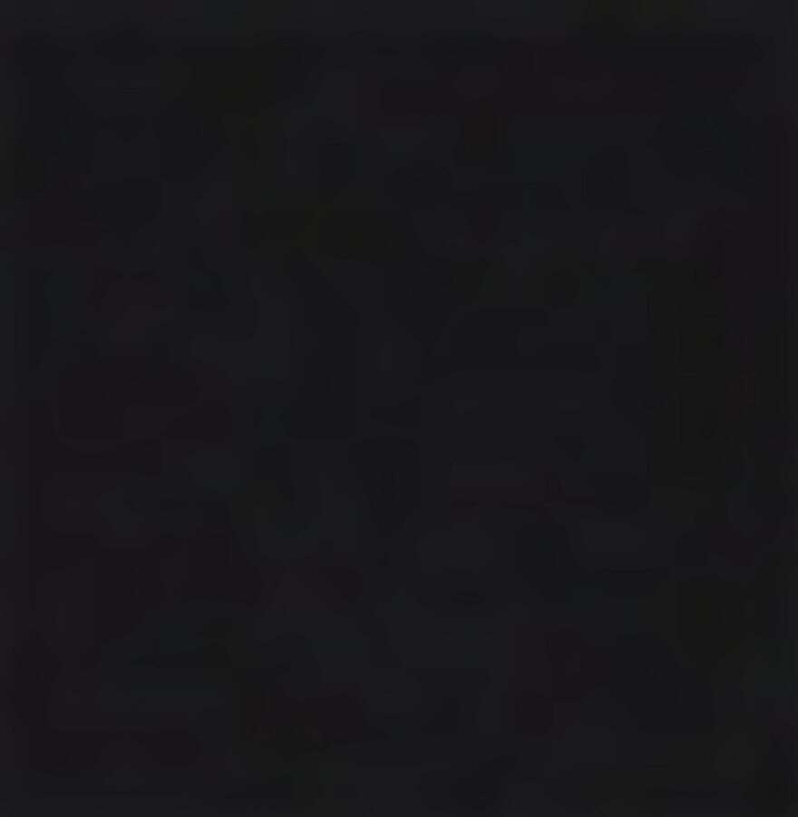 HUGO Blue Sweatshirt Neprix