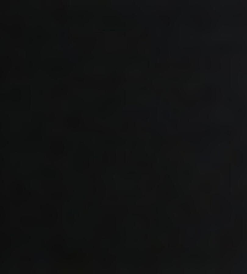 HUGO CLASSIFICATION Body met labelpatch