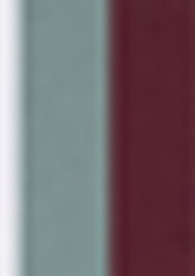 HUGO underwear T-shirt RN TRIPL met een ronde hals (set 3-delig) - Foto 3