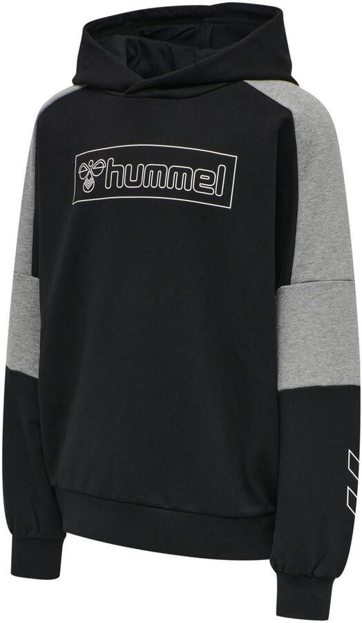 Hummel Hoodie HMLBOXLINE HOODIE (1-delig) - Foto 3