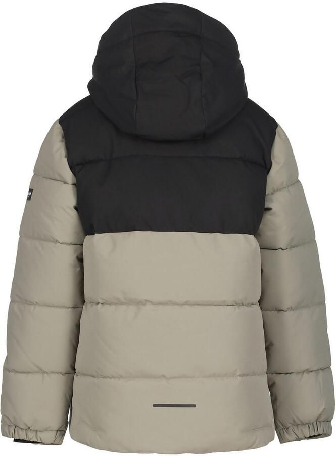 Icepeak Louin Skijas Junior - Foto 2