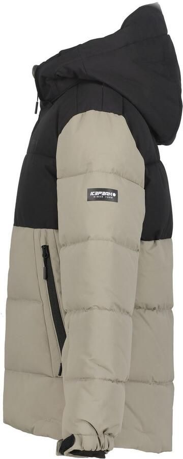 Icepeak Louin Skijas Junior
