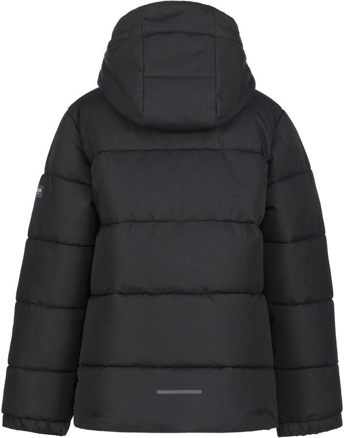 Icepeak Louin Skijas Junior - Foto 2