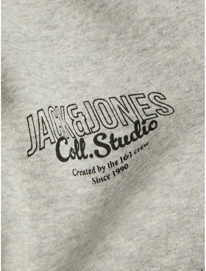 Jack & Jones Capuchonsweatvest JJMAKOTO SWEAT ZIP HOOD - Foto 2