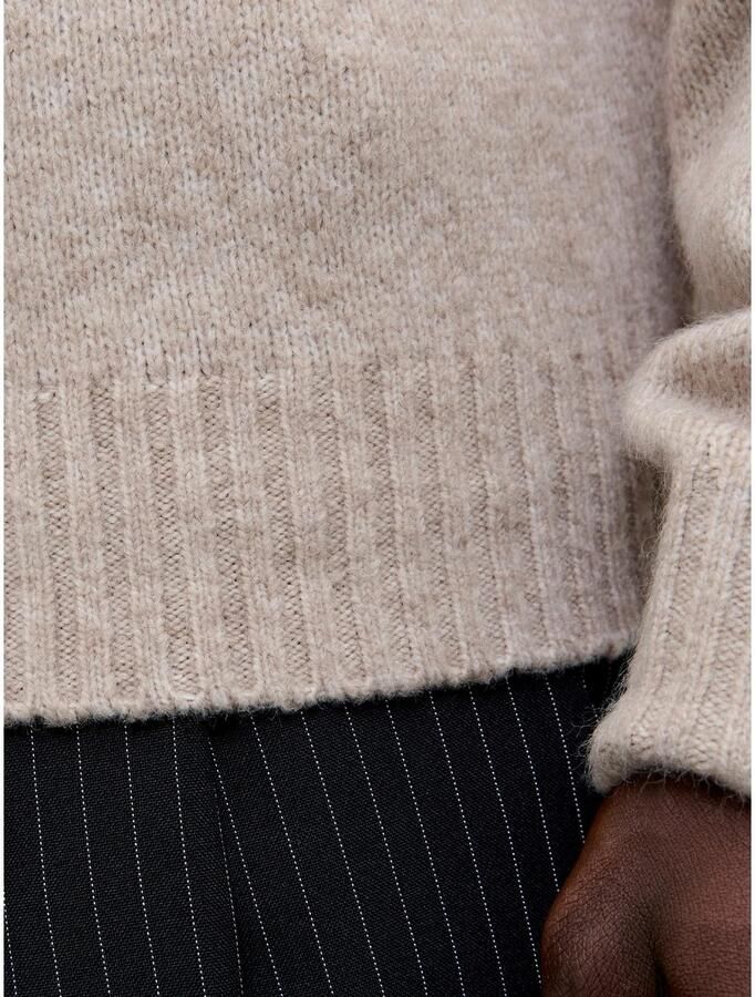 Jack & Jones Capuchontrui JJESOHO OLLIE KNIT HOOD LN