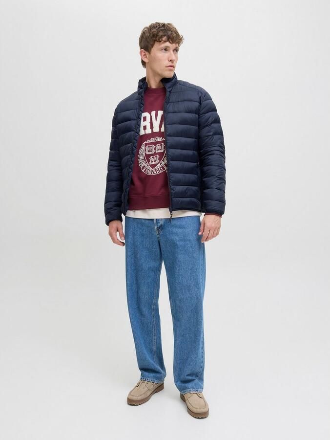 Jack & Jones Gewatteerde jas JJEBRADLEY LIGHT PUFFER COLLAR NOOS - Foto 5