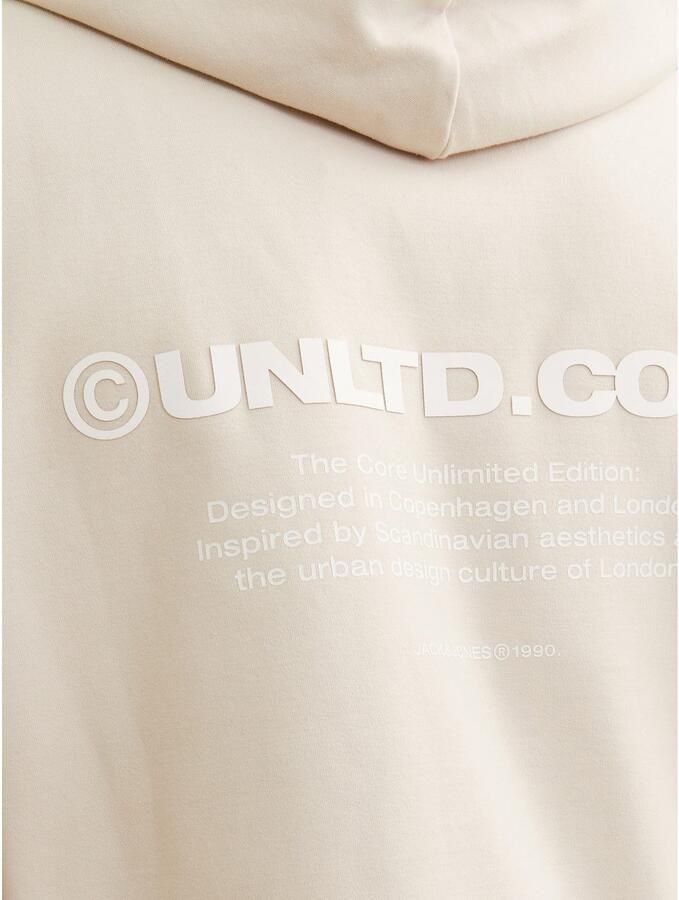 Jack & Jones Hoodie JCOAERO PRINT SWEAT HOOD NOOS - Foto 2