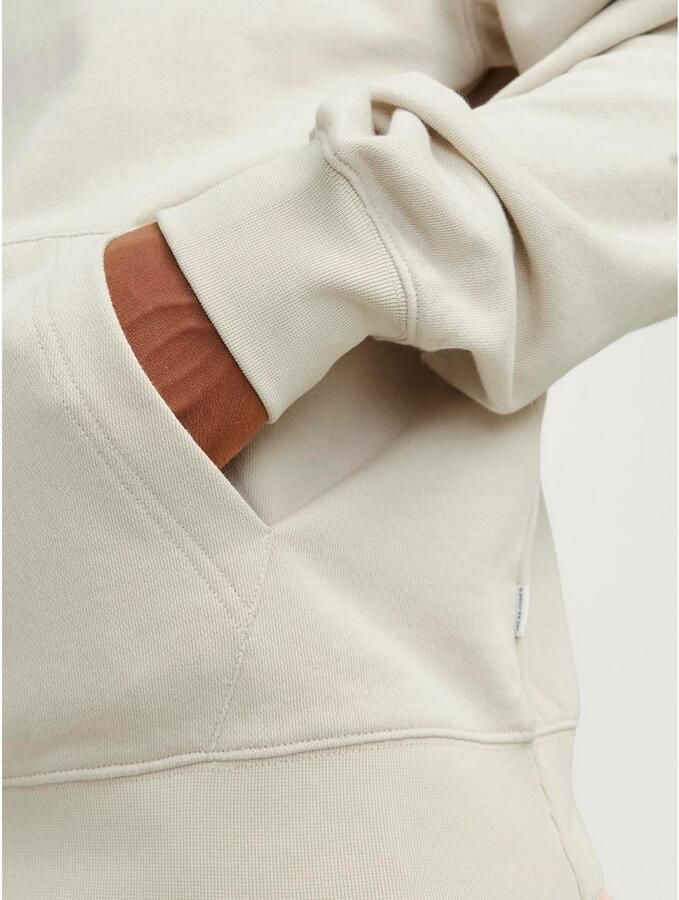 Jack & Jones Hoodie JJECHARGE SWEAT HOOD NOOS