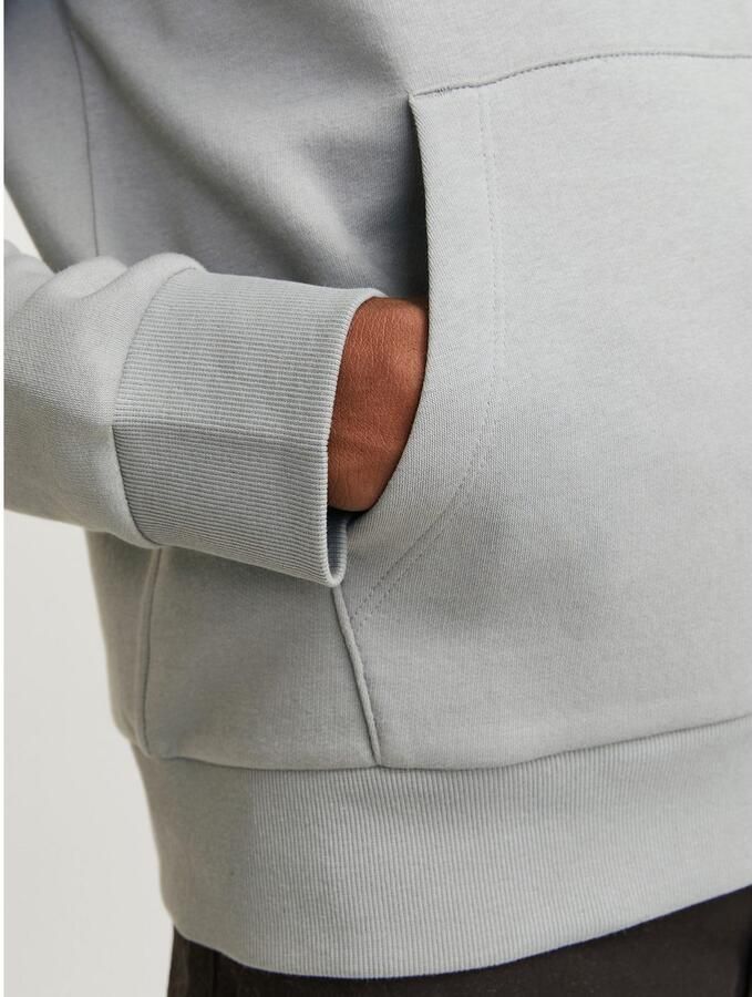 Jack & Jones Hoodie JJECORP LOGO SWEAT HOOD NOOS