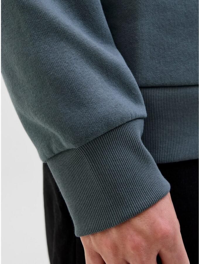 Jack & Jones Hoodie JJELOGO SWEAT HOOD 2 COL 25 26 NOOS