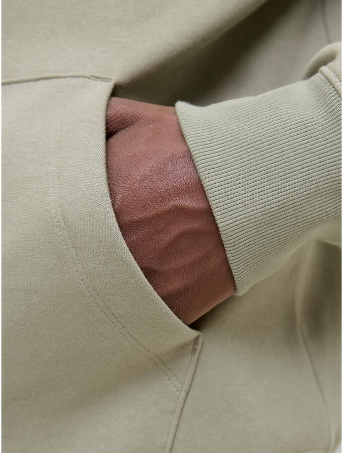 Jack & Jones Hoodie JJESTAR BASIC SWEAT HOOD NOOS