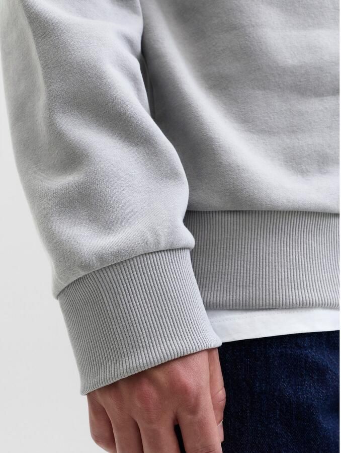 Jack & Jones Hoodie JJGEPLAS SWEAT HOOD