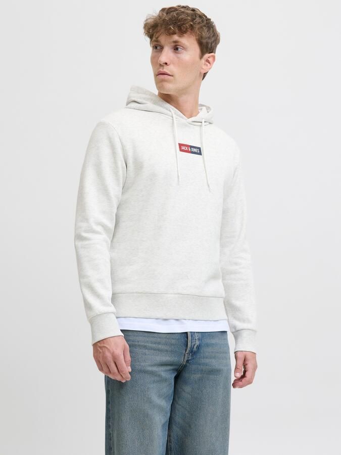 Jack & Jones Hoodie JJPAN SWEAT HOOD - Foto 6