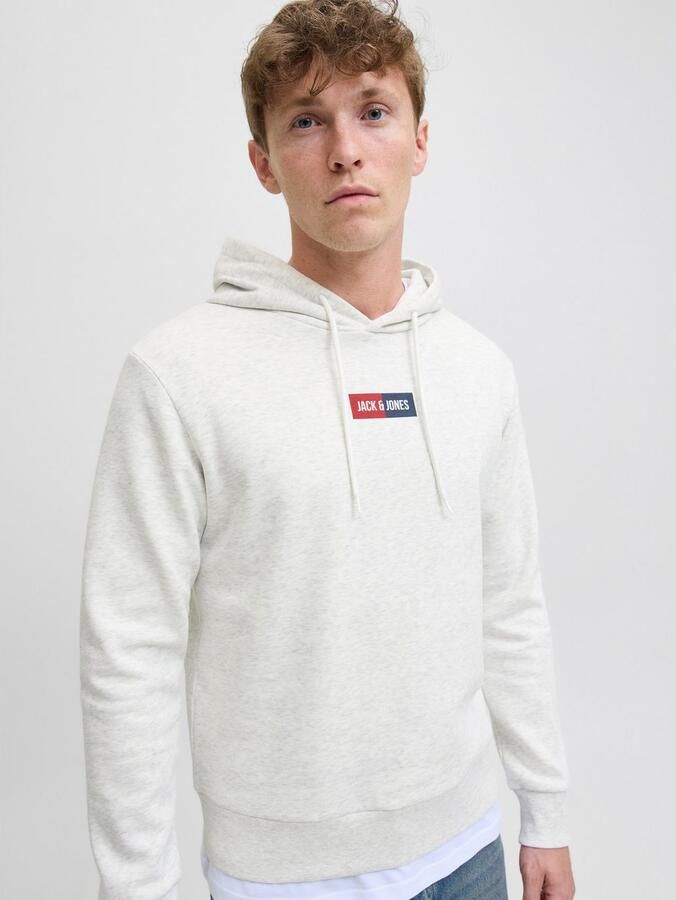 Jack & Jones Hoodie JJPAN SWEAT HOOD - Foto 3
