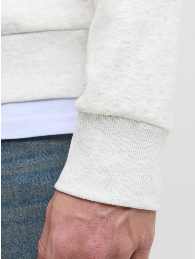 Jack & Jones Hoodie JJPAN SWEAT HOOD - Foto 2