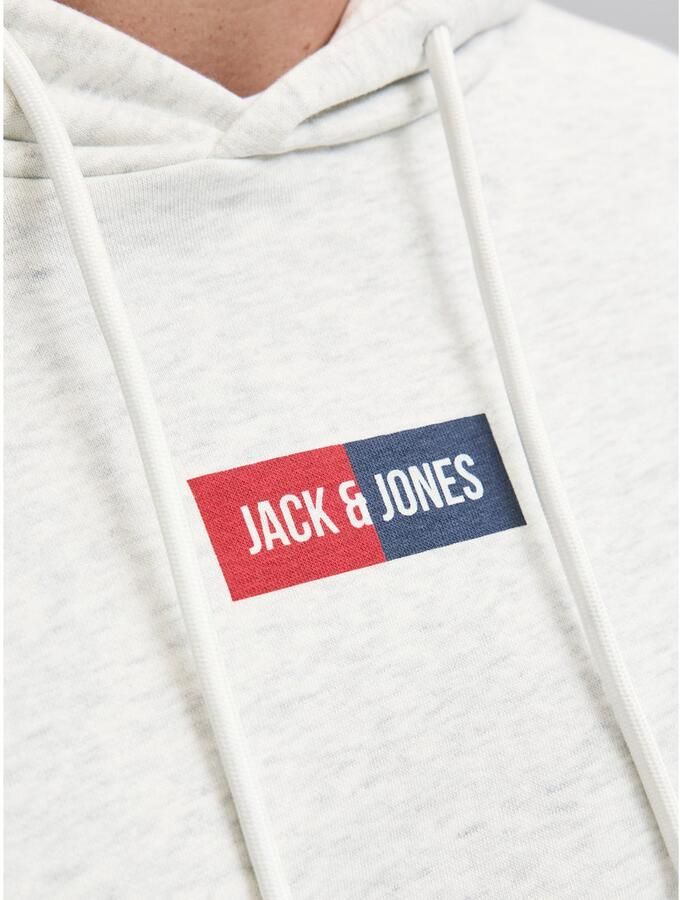 Jack & Jones Hoodie JJPAN SWEAT HOOD