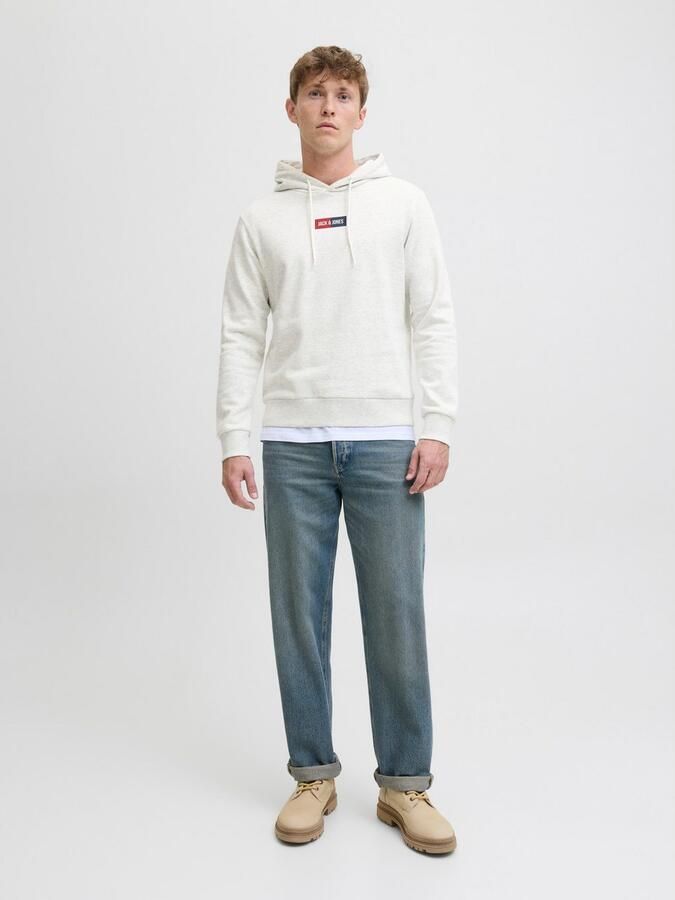 Jack & Jones Hoodie JJPAN SWEAT HOOD - Foto 4