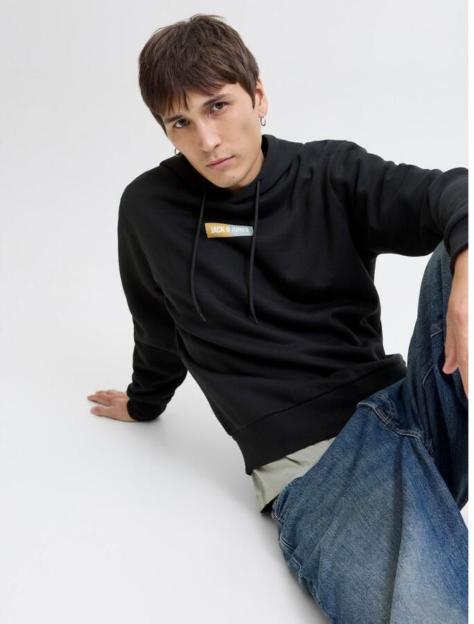 Jack & Jones Hoodie JJPAN SWEAT HOOD