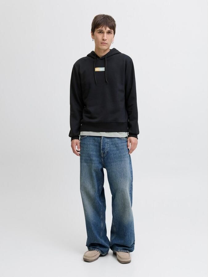 Jack & Jones Hoodie JJPAN SWEAT HOOD - Foto 4