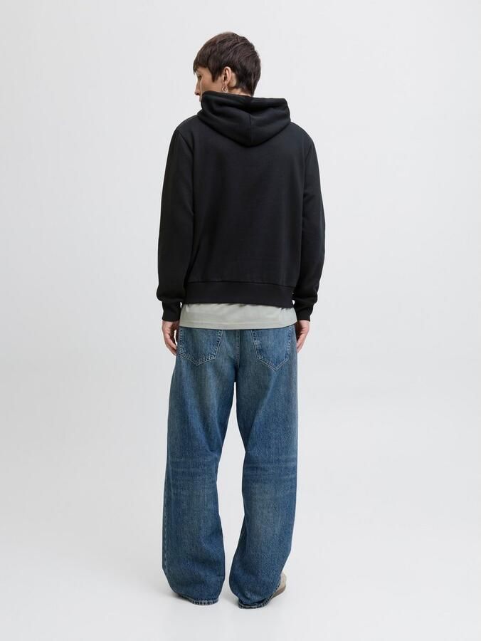 Jack & Jones Hoodie JJPAN SWEAT HOOD - Foto 2