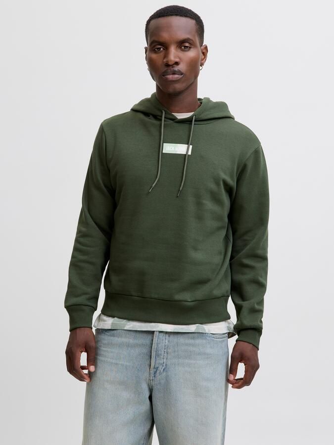 Jack & Jones Hoodie JJPAN SWEAT HOOD - Foto 3