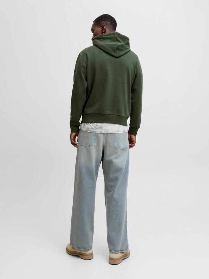 Jack & Jones Hoodie JJPAN SWEAT HOOD - Foto 2