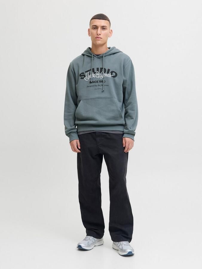 Jack & Jones Hoodie JJYUKI SWEAT HOOD BF - Foto 3