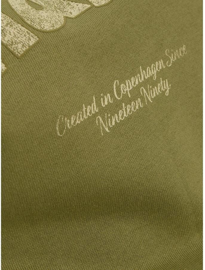 Jack & Jones Hoodie JORALMERIA SWEAT HOOD