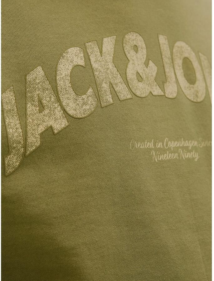 Jack & Jones Hoodie JORALMERIA SWEAT HOOD - Foto 3