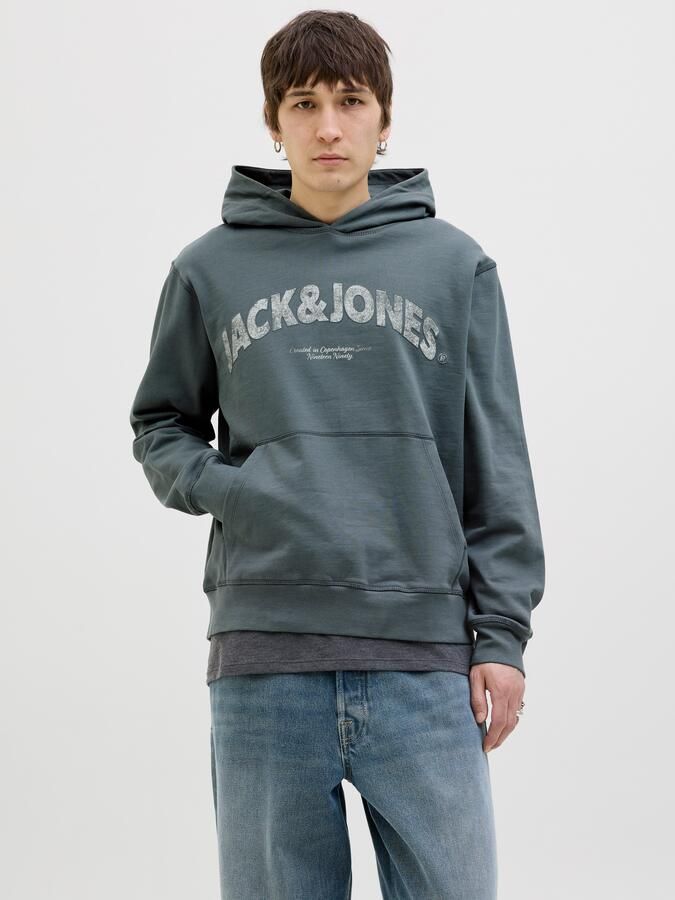 Jack & Jones Hoodie JORALMERIA SWEAT HOOD - Foto 7