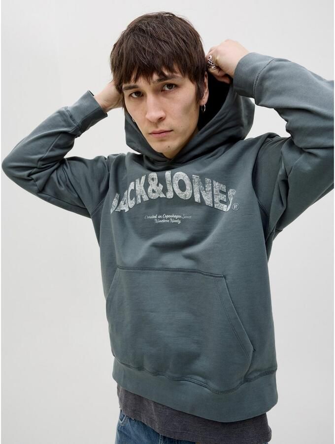 Jack & Jones Hoodie JORALMERIA SWEAT HOOD - Foto 3