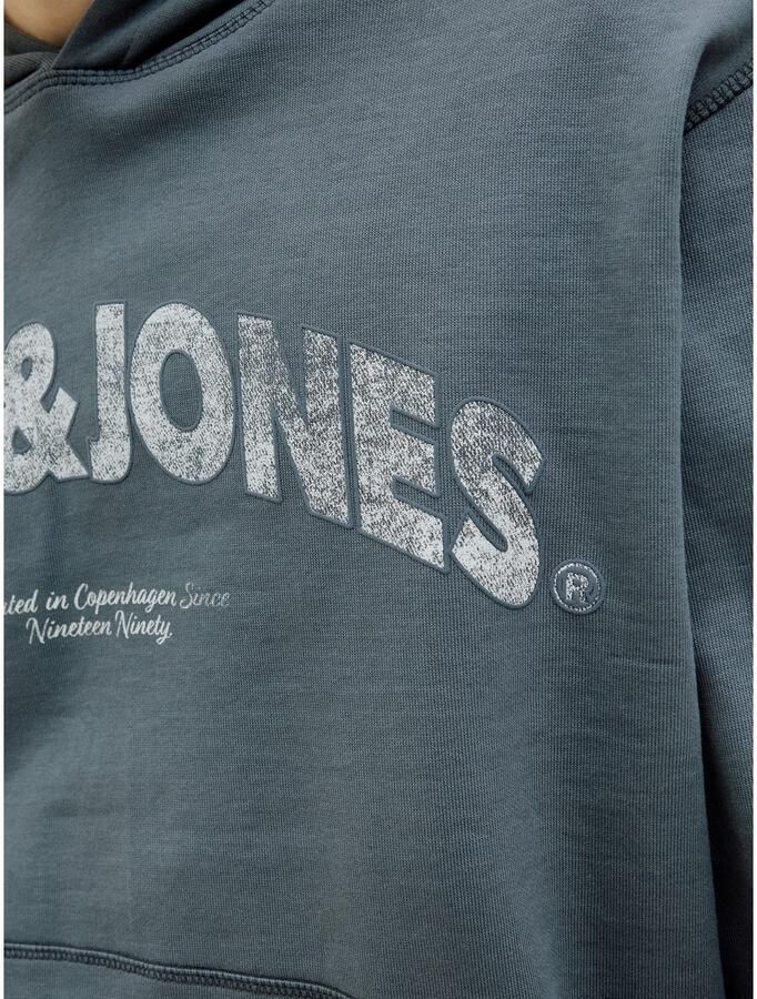 Jack & Jones Hoodie JORALMERIA SWEAT HOOD