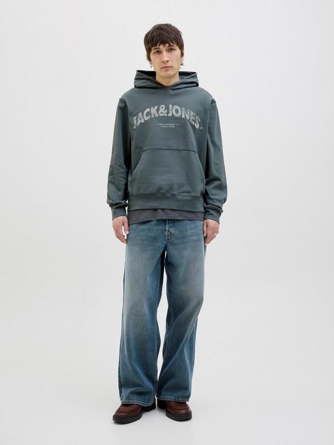 Jack & Jones Hoodie JORALMERIA SWEAT HOOD - Foto 5